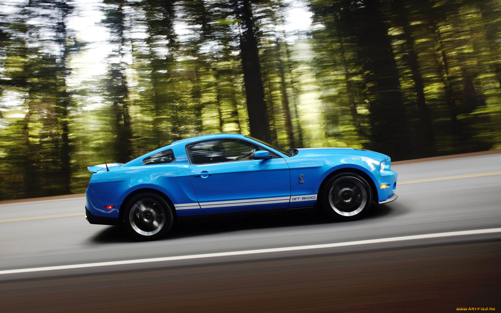 2010, ford, shelby, gt500, , mustang